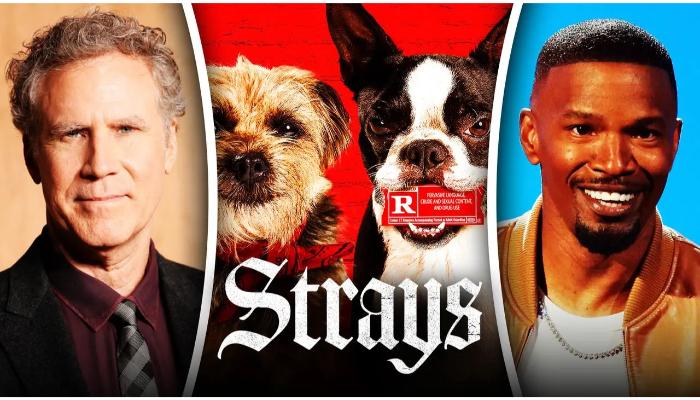 strays cast