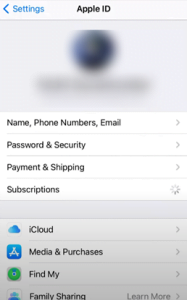 Select "Subscriptions" from the menu